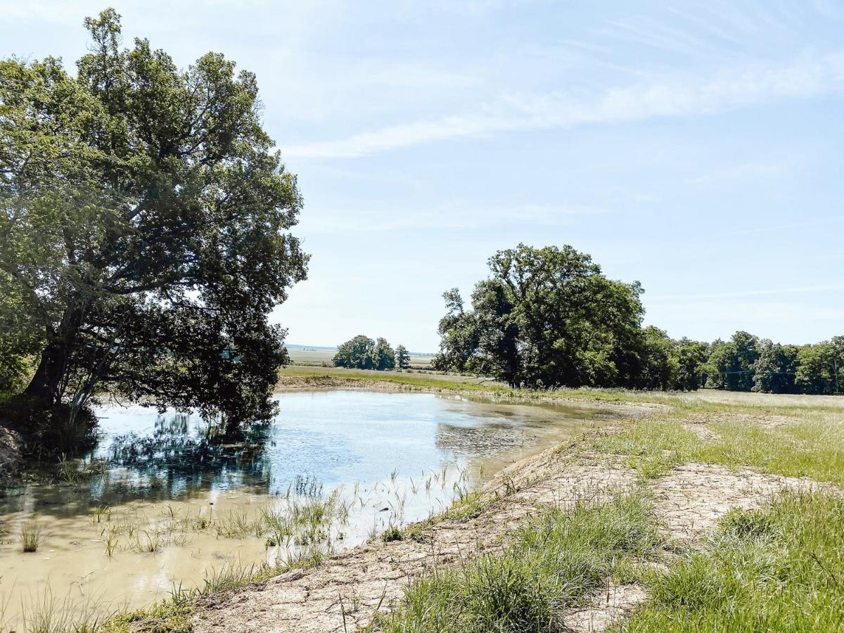 Гостьовий будинок Le Val Suzenay Vendeuvre-sur-Barse Екстер'єр фото