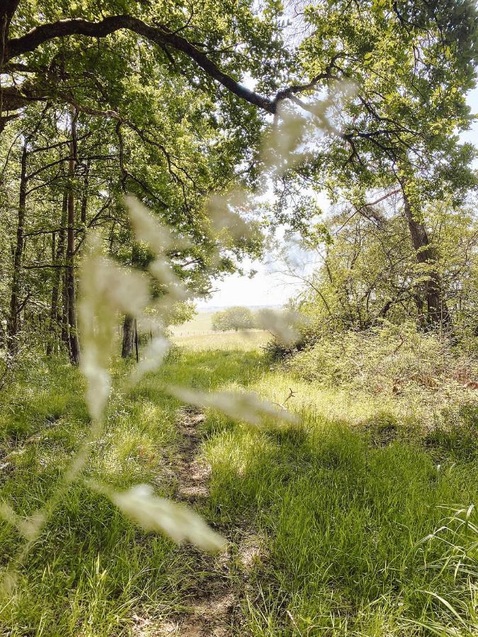 Гостьовий будинок Le Val Suzenay Vendeuvre-sur-Barse Екстер'єр фото