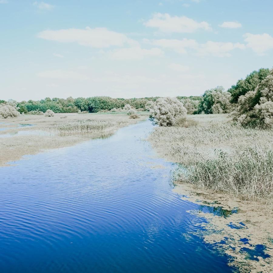 Гостьовий будинок Le Val Suzenay Vendeuvre-sur-Barse Екстер'єр фото
